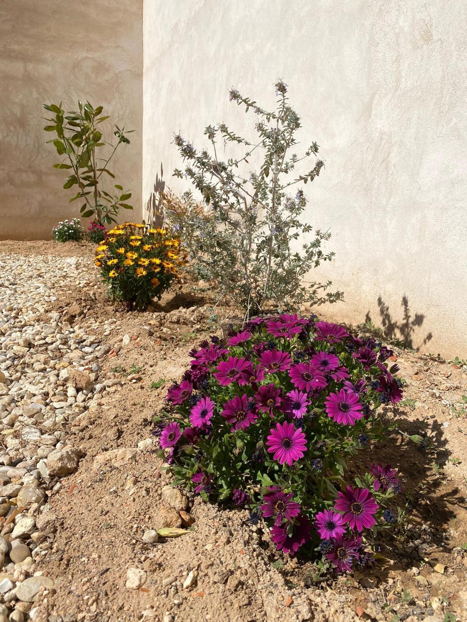 La Mancha Suites Casa Rural Pedro Munoz Екстер'єр фото